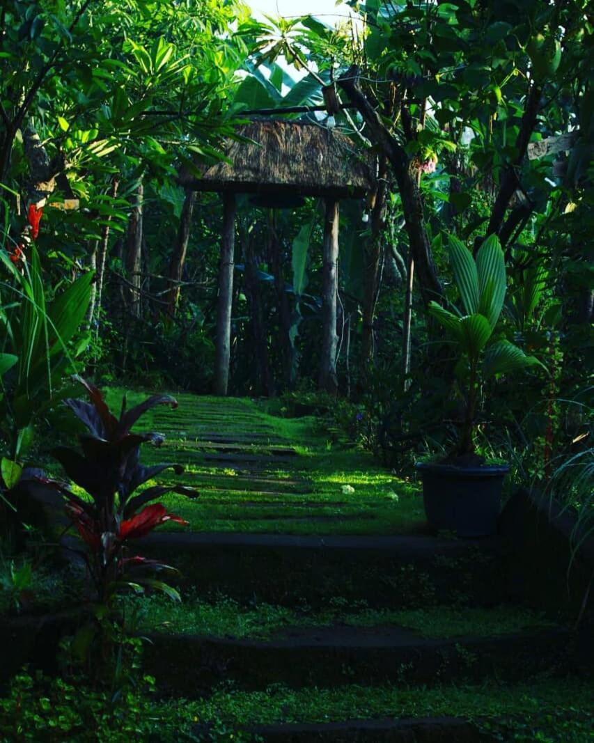 Bucu Hidden Guest House, And Meditation Center Payangan Bagian luar foto